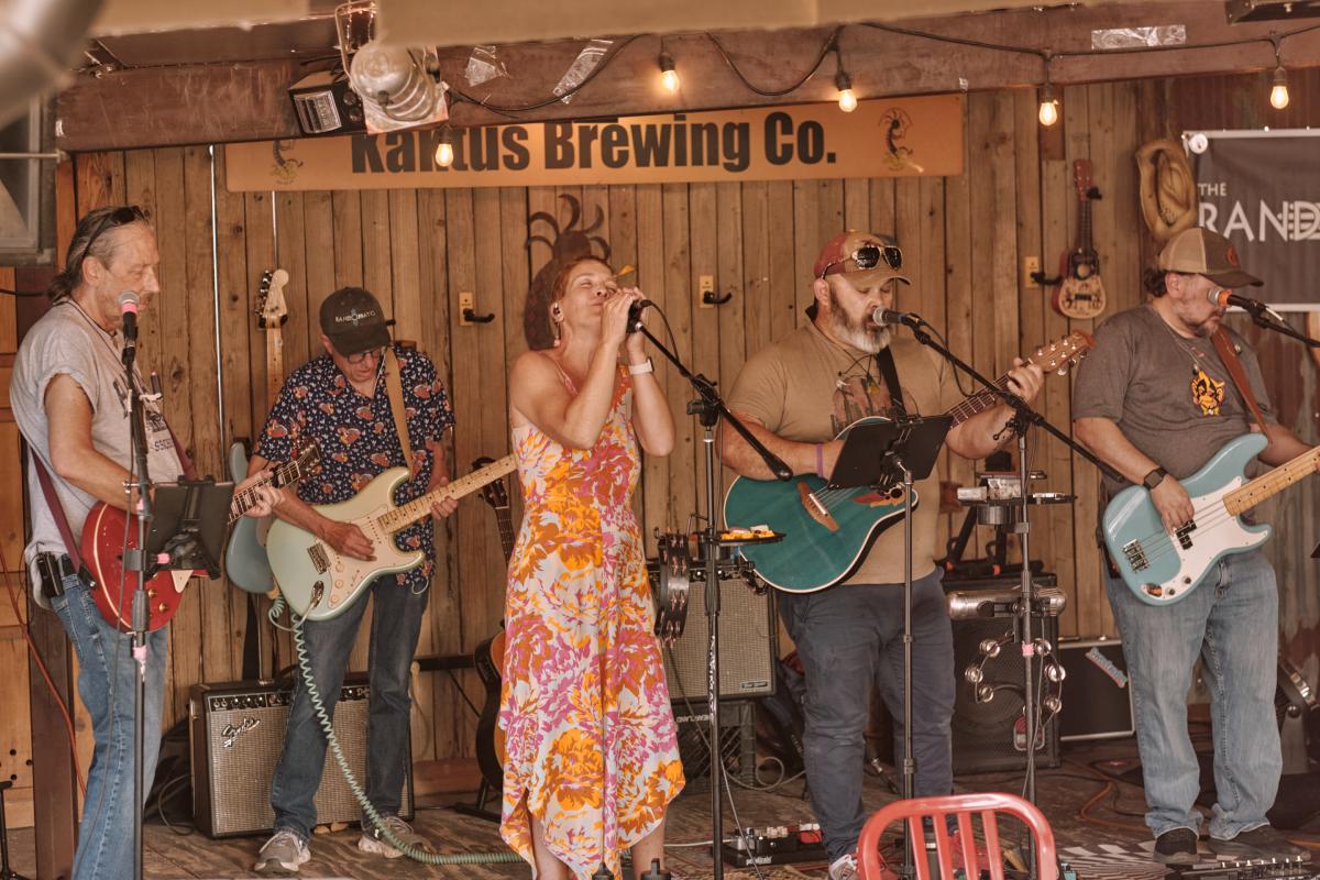 The band preforming